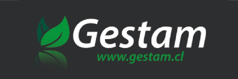 Logo Participan 2
